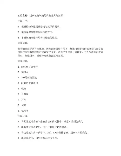 生物初中实验报告