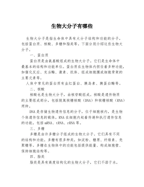 生物大分子有哪些