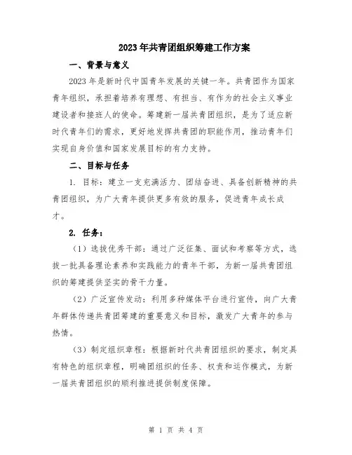 2023年共青团组织筹建工作方案
