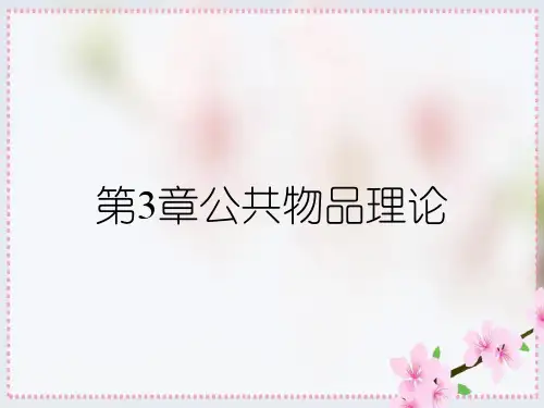 第3章公共物品理论