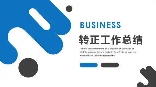 项目申报员转正述职报告PPT