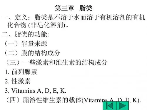 脂类