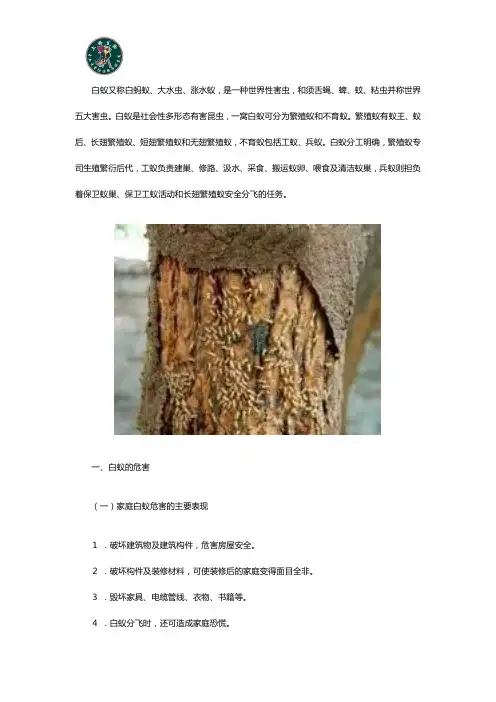 白蚁的种类、危害和生活习性