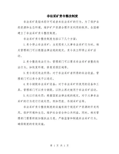 非法采矿责令整改制度