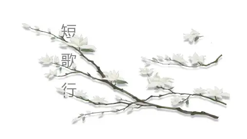 《短歌行》ppt课件