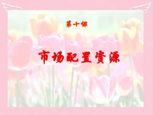 高中政治 市场配置资源优点与缺点课件 新人教版必修1