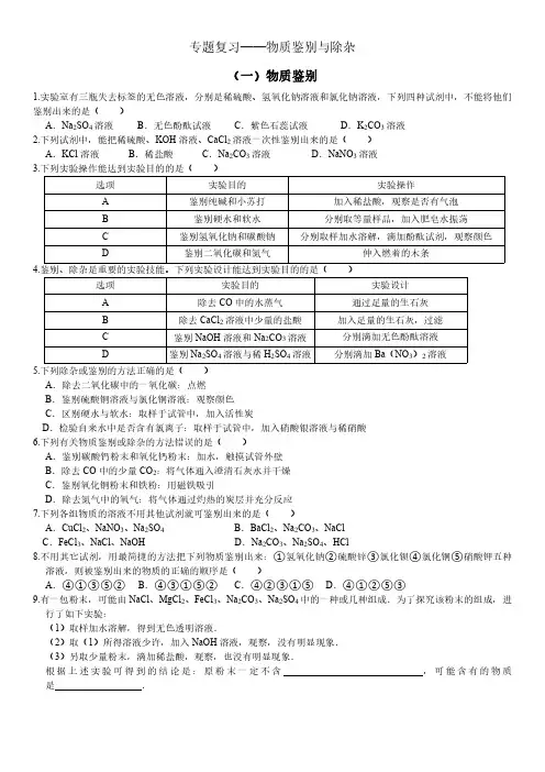 初三中考化学复习专题——物质鉴别检验与除杂知识点与练习题