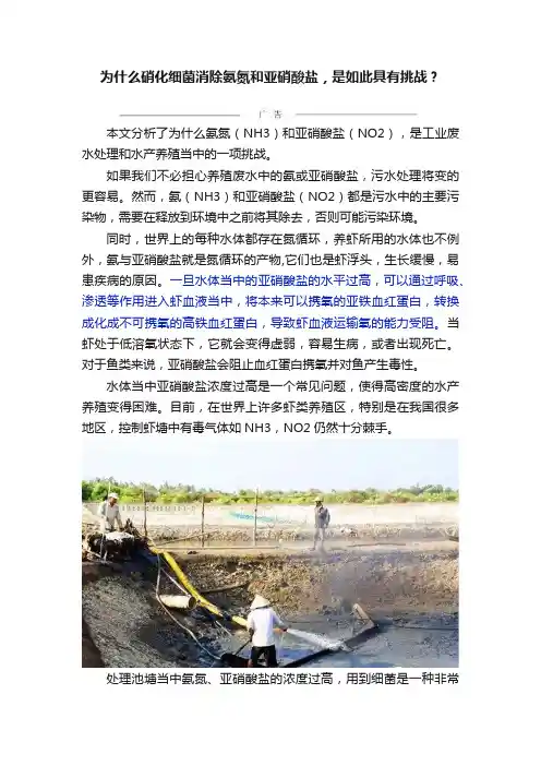 为什么硝化细菌消除氨氮和亚硝酸盐，是如此具有挑战？