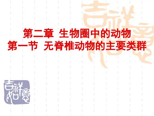 济南版无脊椎动物的主要类群资料
