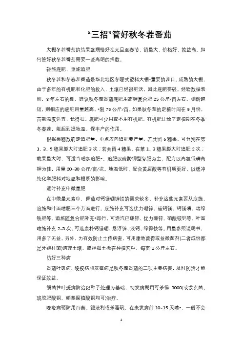 “三招”管好秋冬茬番茄