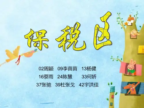 保税区PPT