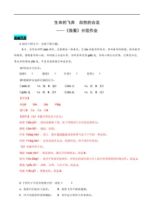第06课 生命的飞奔 自然的合流——我看(分层作业)(教师版)-2025学年九年级语文上册同步课堂