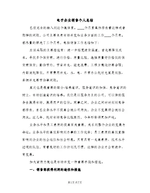 电子企业销售个人总结（2篇）