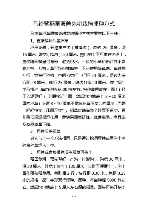 马铃薯稻草覆盖免耕栽培播种方式
