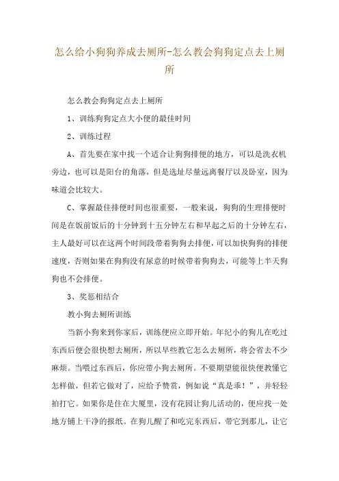 怎么给小狗狗养成去厕所-怎么教会狗狗定点去上厕所