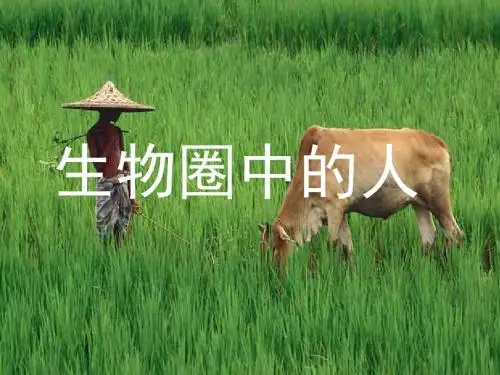 七年级下册生物ppt课件与教案(人类的食物等41个) 北师大版3