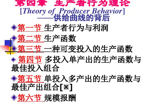 第4章生产者行为理论