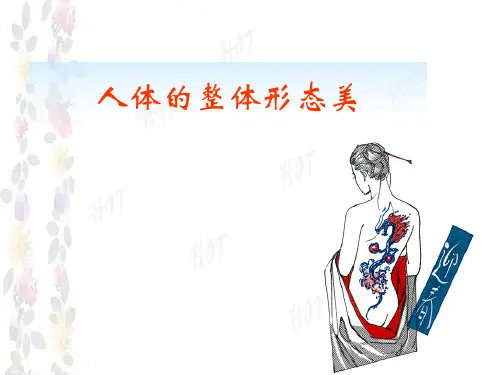 人体的整体形态美.