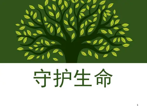 守护生命优质公开课 (课堂PPT)