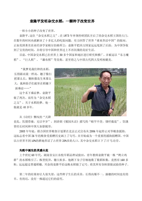 袁龙平发明了杂交稻
