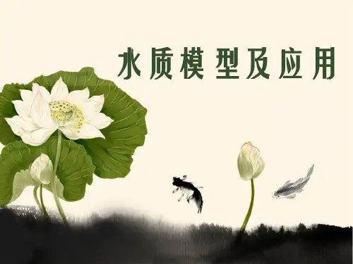 水质模型及应用培训(ppt 49页)