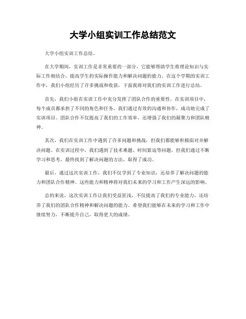 大学小组实训工作总结范文