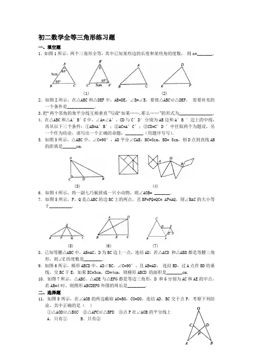 初二数学上册全等三角形综合能力测试题及答案