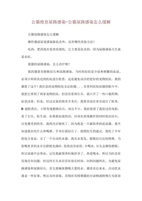 公猫绝育尿路感染-公猫尿路感染怎么缓解