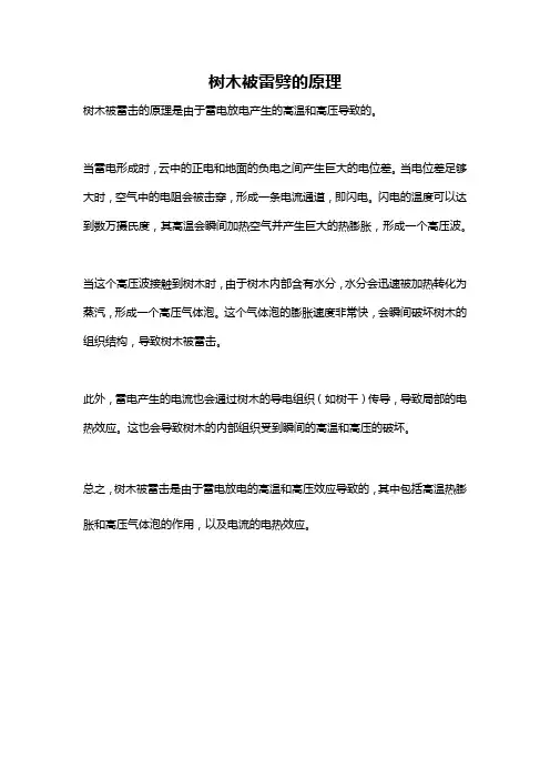 树木被雷劈的原理