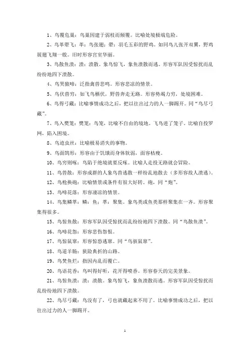 有关鸟的成语(最新)
