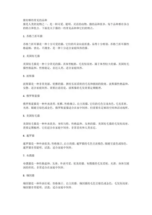 猫有哪些常见的品种