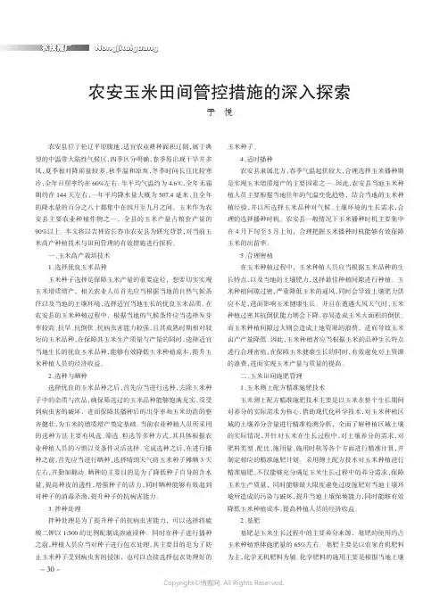 农安玉米田间管控措施的深入探索