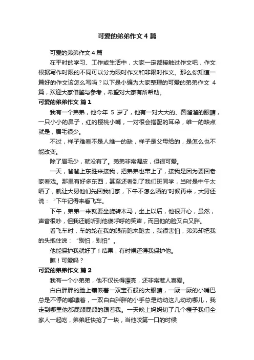 可爱的弟弟作文4篇