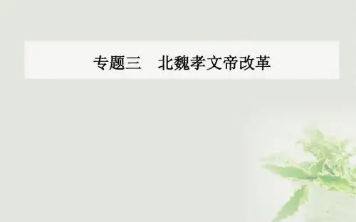 高中历史专题三北魏孝文帝改革一励精图治的孝文帝改革课件人民版选修1