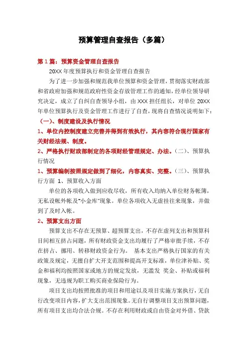 预算管理自查报告(多篇)