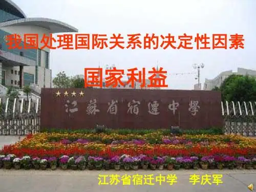 高一政治国家利益1