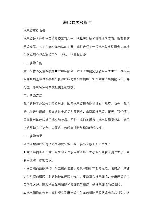 淋巴结实验报告