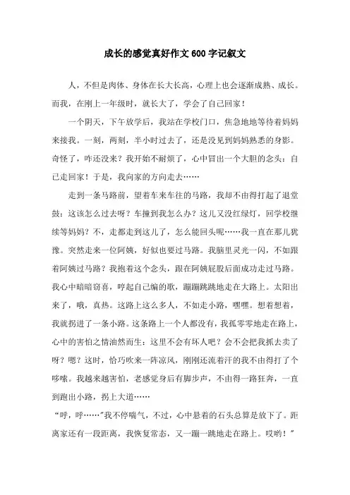 成长的感觉真好作文600字记叙文精选