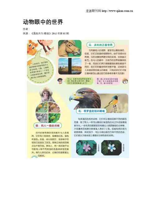 动物眼中的世界