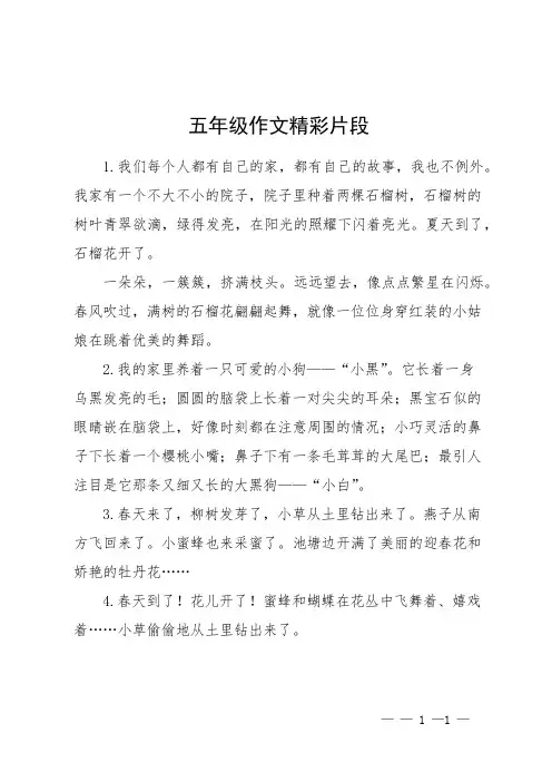 五年级作文精彩片段