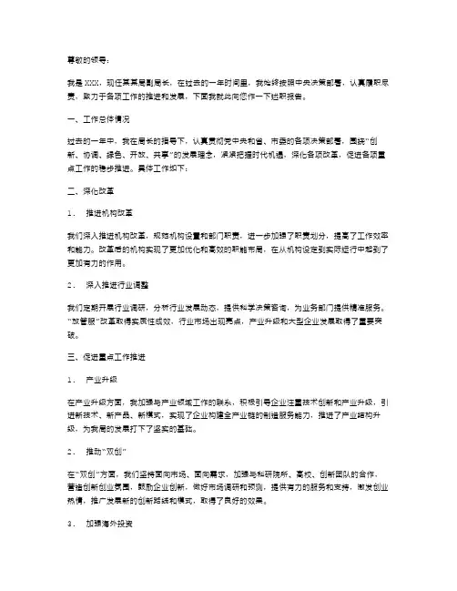 2024年副局长述职报告范文