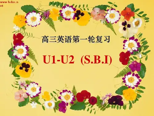高三英语第一轮复习课件(课堂PPT)