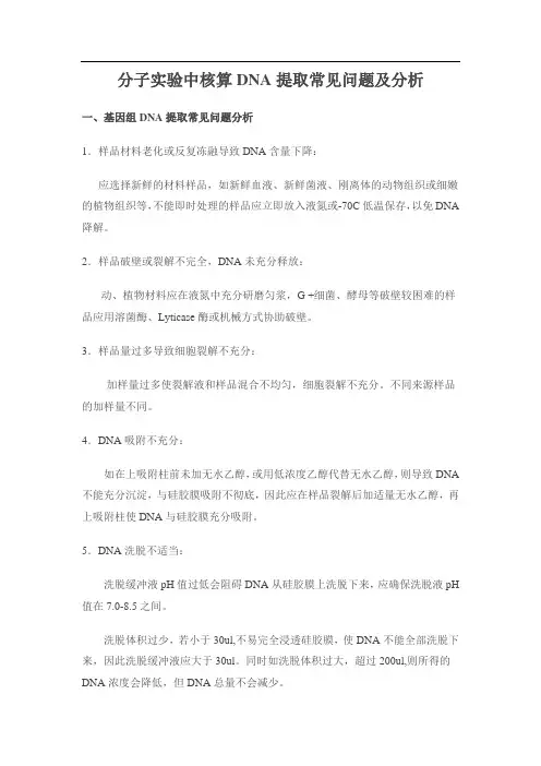分子实验中核算DNA提取常见问题及分析