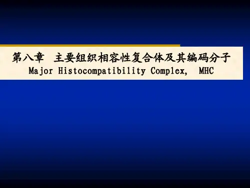 主要组织相容性复合体及其编码分子