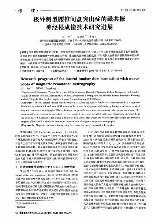 及外侧型腰椎问盘突出症的磁共振神经根成像技术研究进展