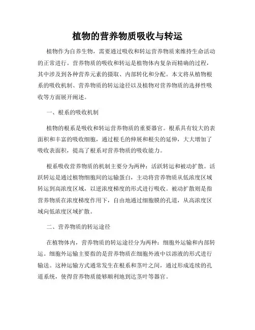 植物的营养物质吸收与转运
