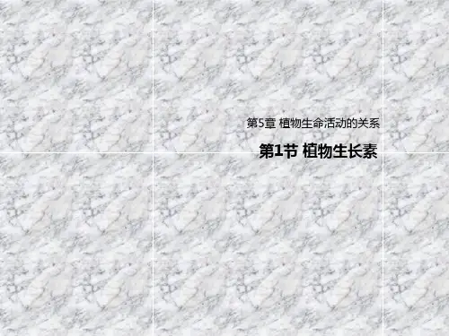 高中生物人教版选择性必修一课件51植物生长素