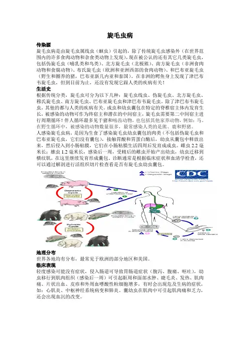 旋毛虫病简介