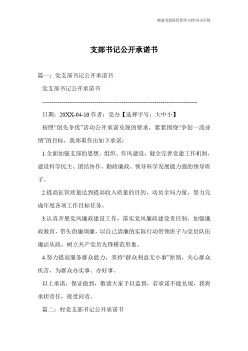 支部书记公开承诺书