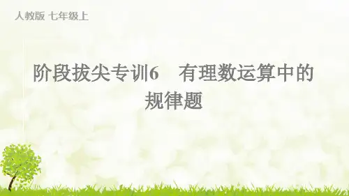 七年级数学阶段拔尖专训6 有理数运算中的规律题